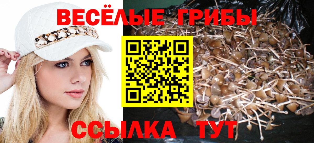 Галлюциногенные грибы GOLDEN TEACHER Калуга